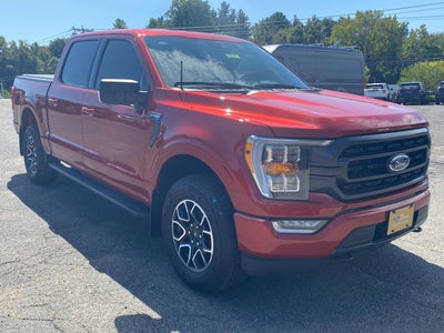 2023 Ford F-150 XLT *Under Deposit*
