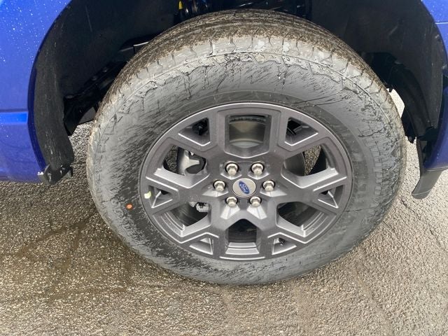 2026 Ford F-150 STX *Under Deposit*