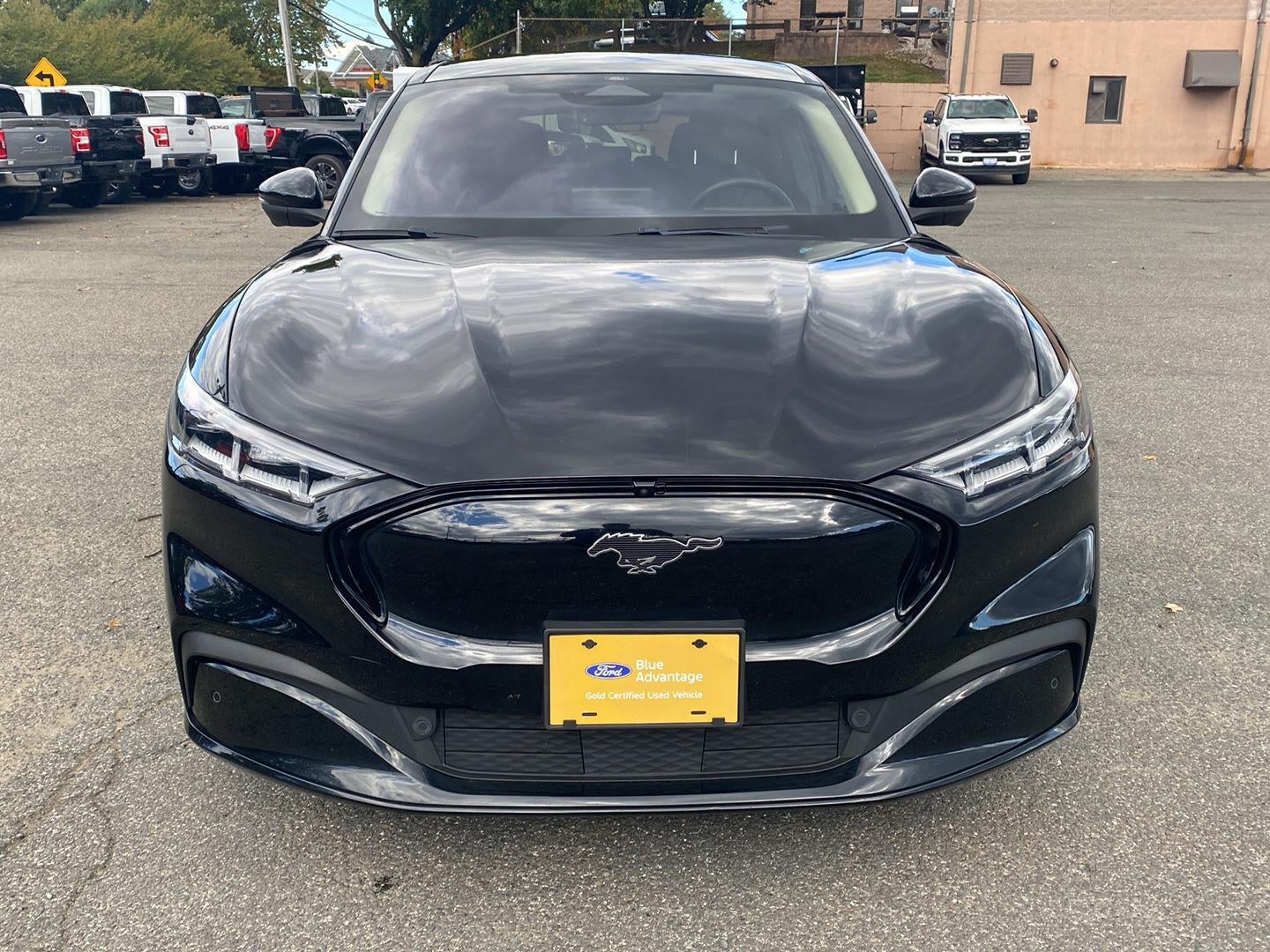 2023 Ford Mustang Mach-E Premium