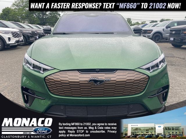 2025 Ford Mustang Mach-E GT