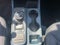 2026 Ford MAVERICK HYBRID XL