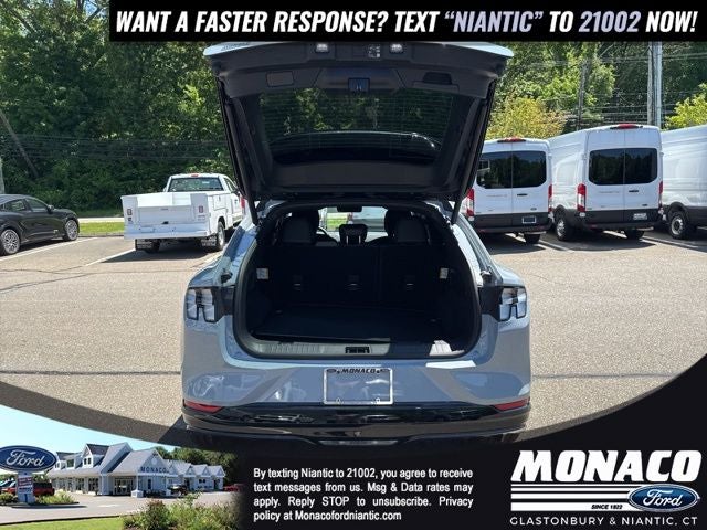 2025 Ford Mustang Mach-E GT