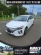 2021 Hyundai Ioniq Electric Limited